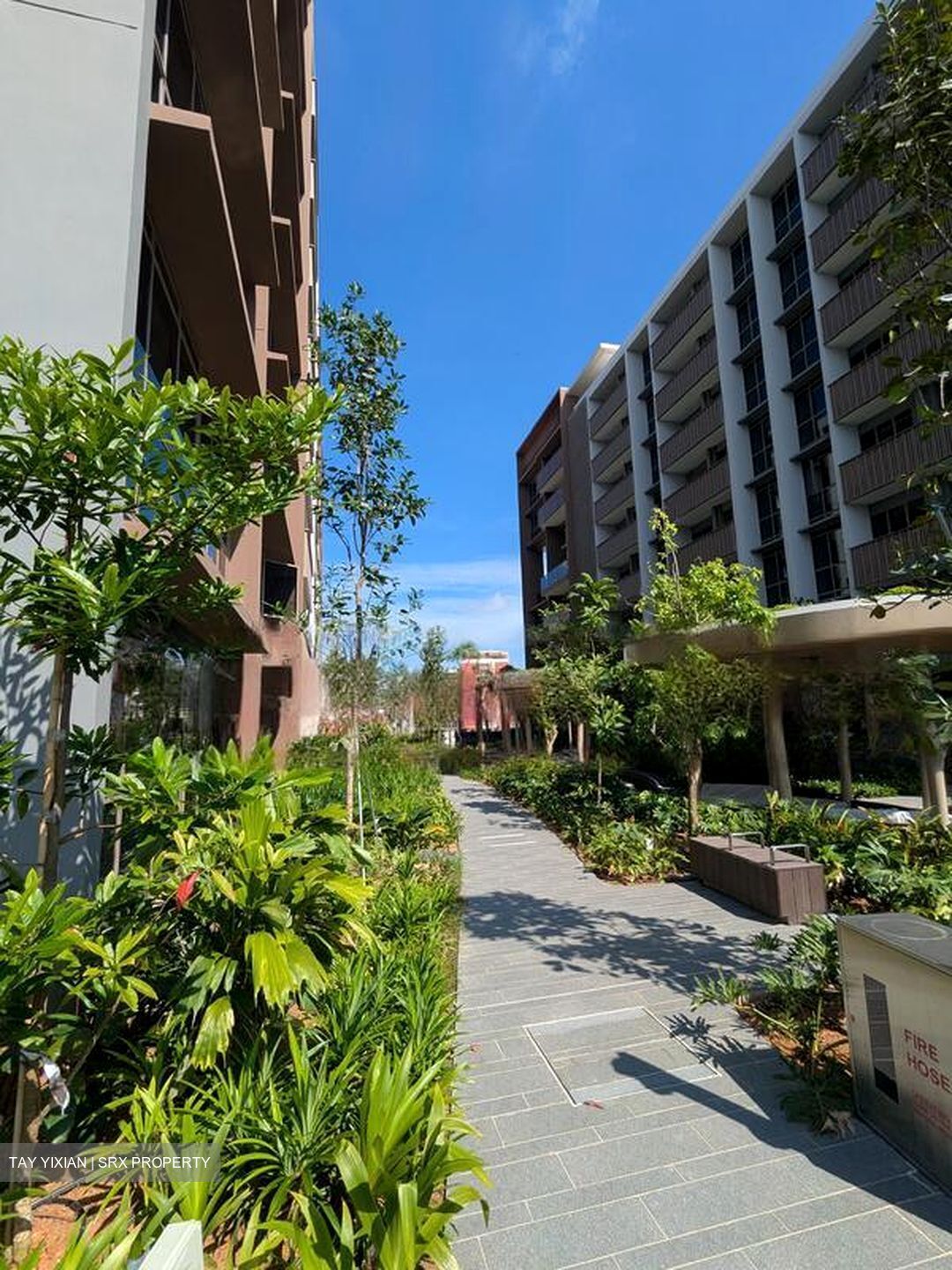 Pasir Ris Central (D18), Condominium #475109491